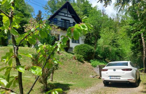 Holiday house with a parking space Lokve, Gorski kotar - 18226 - Foto 11