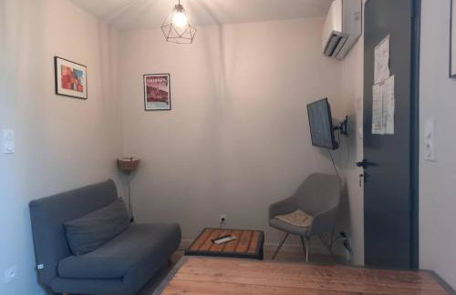 Collonges, éco-container PMR avec climatisation et parking privé - FR-1-828-13 - Foto 4
