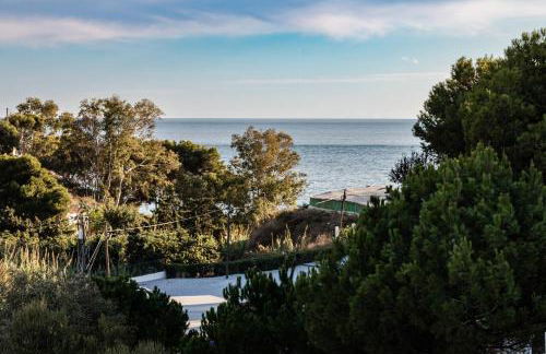 Los Nísperos - Photo 67