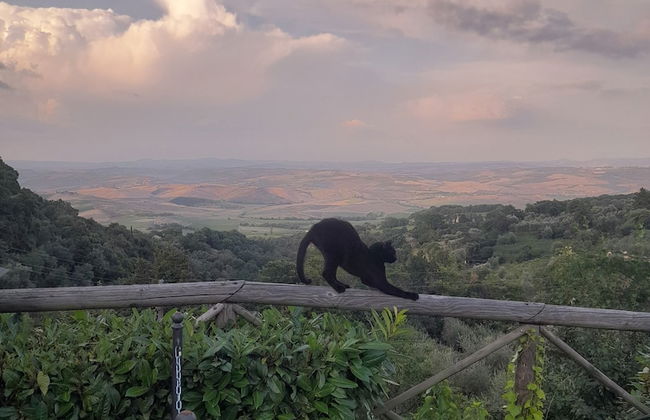Agriturismo La casella - Foto 26