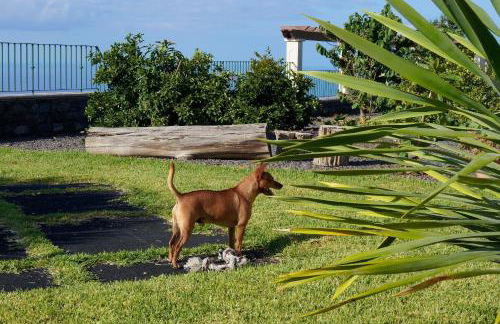 Namastê House II - Foto 36