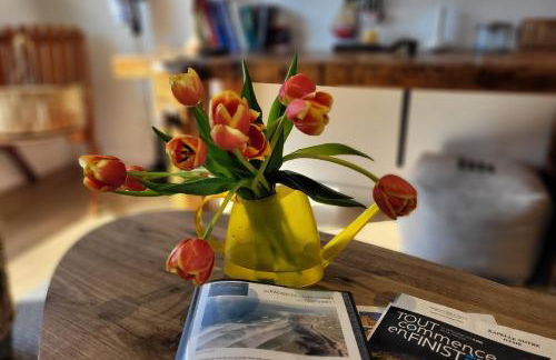 Tipoz'Immo - Le Cocon accès direct plage - chambre vue mer - animaux bienvenus - wifi inclus - linge inclus et lits faits - proche des commerces et des attractions touristiques - Foto 9