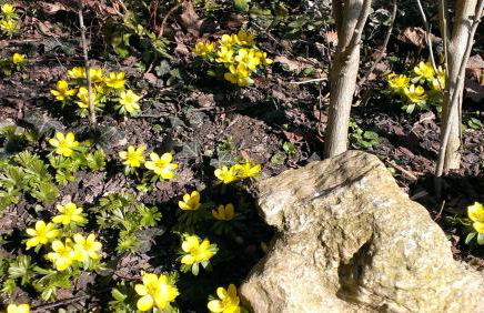 Appartementhaus Elisabeth Winklhofer - Foto 63