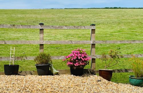 Little Bo Peep - Foto 14