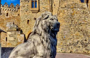 Schwarzer Kater - Foto 13