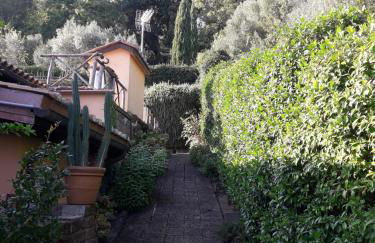 La Cerasa - il Lago fuori - Foto 14