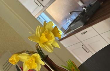 bei den Hundertelfen - Foto 5