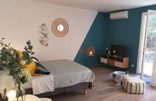 Grand studio 35m2 centre ville - Foto 6