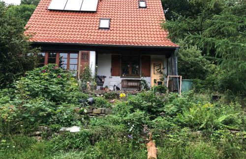 Haus Mühlstein - Foto 8