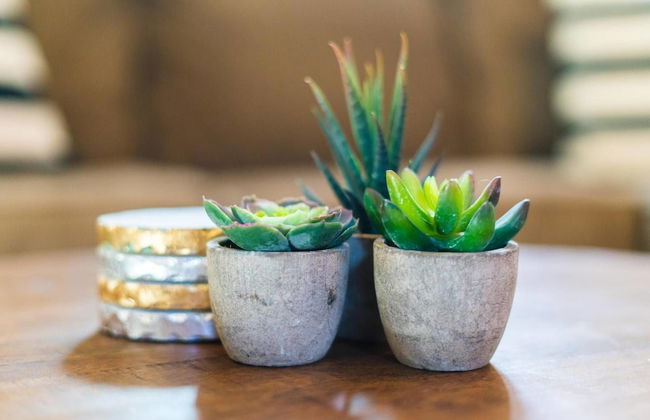 Sloan's Lake Mid-mod Escape - Foto 20