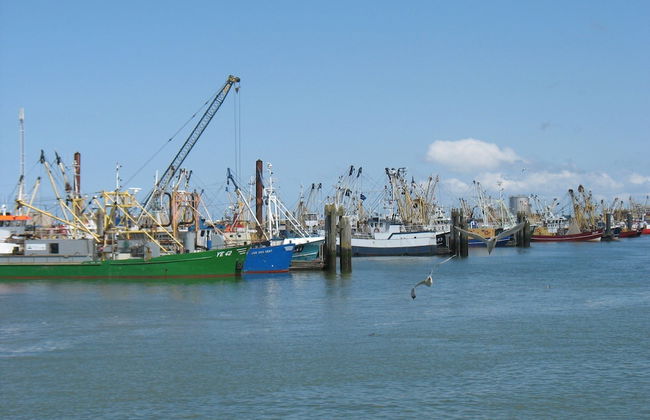 Cozy Holiday Home with Hot Tub in Lauwersoog by Lake - Foto 38