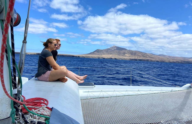 Whale & Dolphin Watching in Puerto Calero - Photo 11