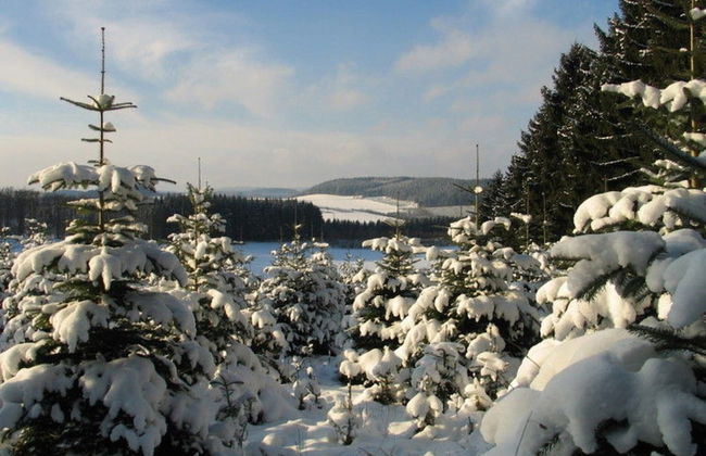 Ruhige Wohnung im Sauerland mit Terrasse - Foto 21