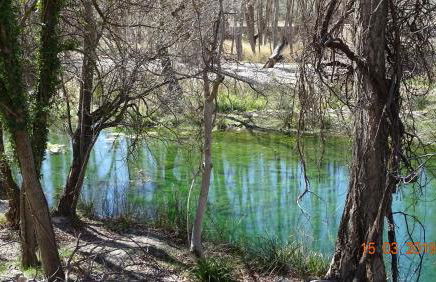 Casa Rural La Liebre - Foto 24