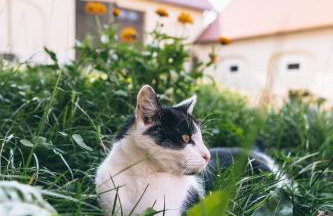 Jaworowa Zagroda - Foto 17