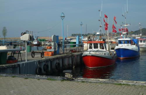 Ferienwohnungen Unter den Linden - Foto 35