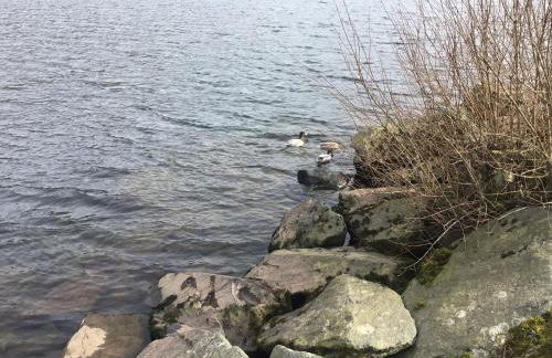 Llanberis Lodges - Photo 53