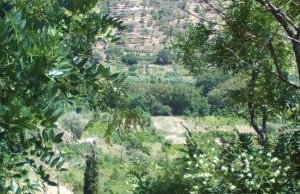 Kampos View Ikaria - Photo 58