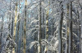 Apartment Abendrot - Foto 30