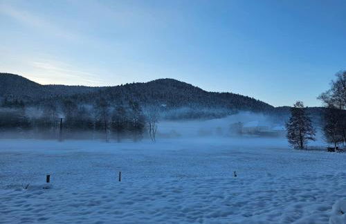 Maison au pied des 1000 étangs - Foto 62
