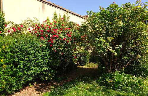 L'essentiel de Chartres - Foto 12