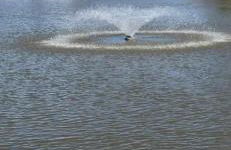 Hares Haven pet friendly sleeps 6 - Foto 75