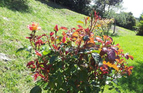 Casa Guaitoli - Foto 96