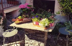 LA CORTE DELLA CARLA - cozy home in the old court - Foto 2