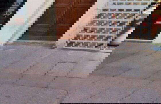 Palau De Rosa - Foto 26