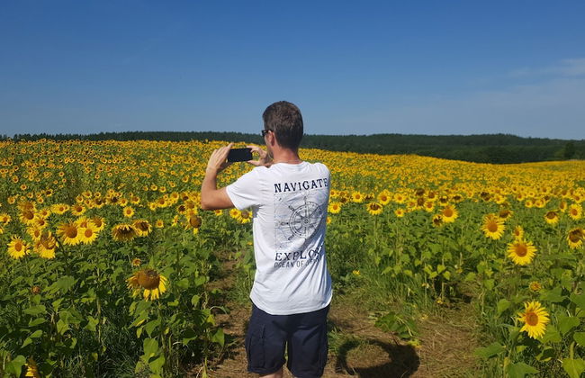 Kamienny Ogród Holiday Park - Foto 25