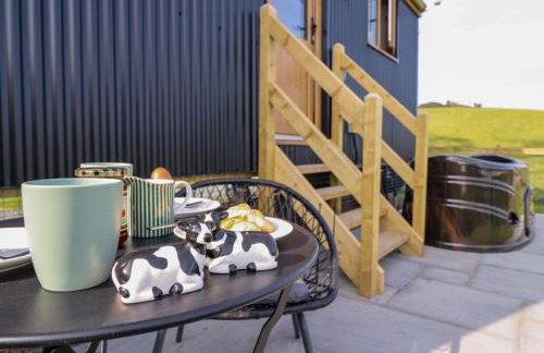 Defaid Cymreig - Foto 19