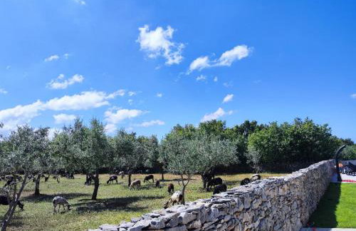 Holiday Home Respira - Foto 51