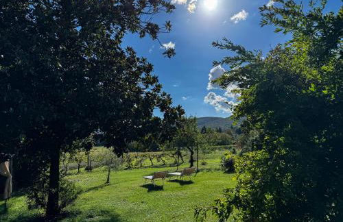 CLAUDIA VACANZA TOSCANA - Appartamento Nocciolo- 10 min da Siena - Foto 26