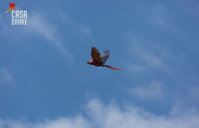 Room-private Honeymoon Bungalow - Foto 7