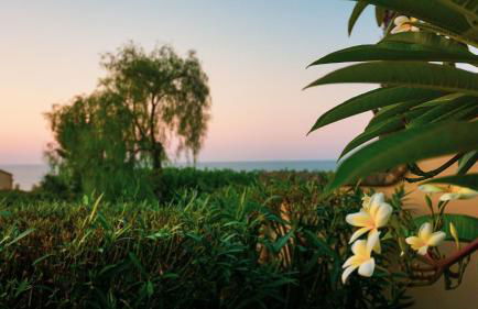 Villa Medina - Foto 36