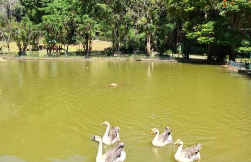 Condado Verde Itaipava Pedro do Rio - Foto 34