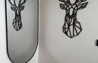 Royal Haus Chemnitz 3- Balkon nahe Zeisigwald - Photo 12