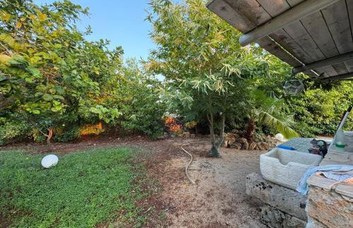 LI CAVALIERI - Foto 6