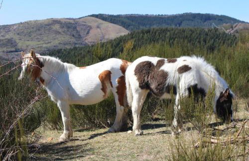 Cuccaro Club - Val di Vara e Cinque Terre - Foto 15