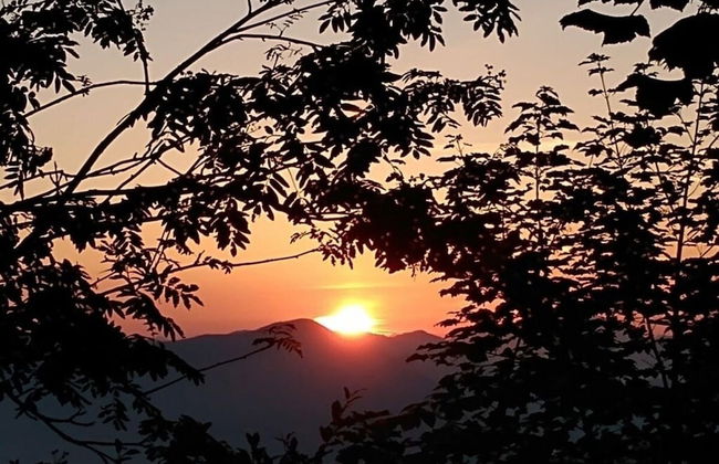 Kainlehen Modern Retreat - Foto 8