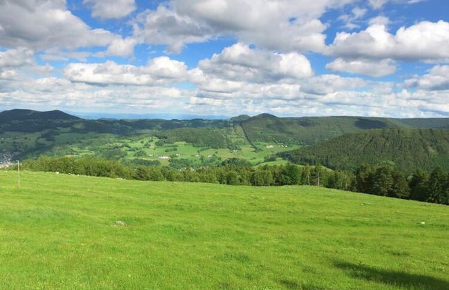 Residence Orbey Alsace Apartment With Balcony - Photo 16