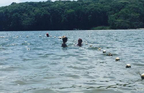 The Beach Gallery - Foto 4