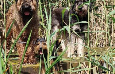 Dziki brzeg Jezioraka - Foto 40