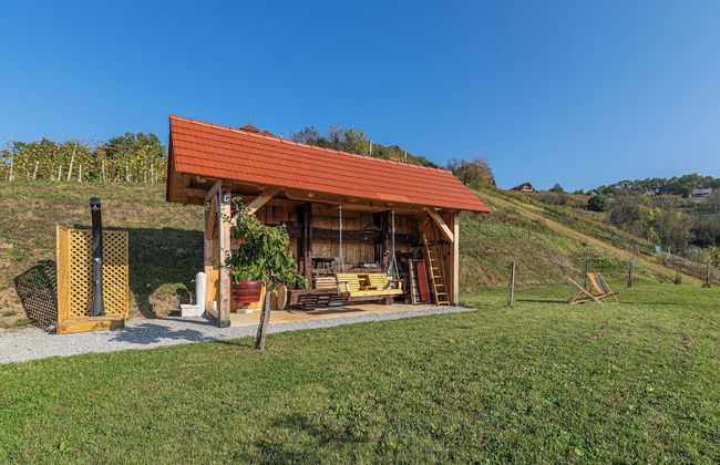 Vineyard Cottage Grajska Kasca - Foto 14
