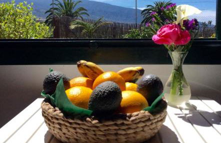 FINCA LA PLANTACIÓN _Agroturismo - Foto 20