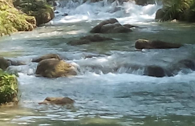 Sierraverde Cabins Rosewood - Foto 6