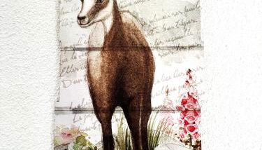 Bel appart - 2 chambres - terrasse - vue exceptionnelle - à 5 minutes du centre ville - Photo 4