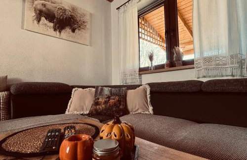 Bieszczady Żubrowe Wzgórze 785-049-543 - Foto 27