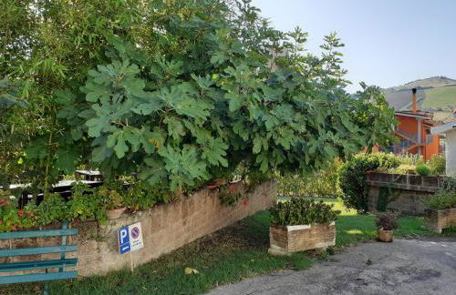 Pier Delle Vigne B&B - Foto 38