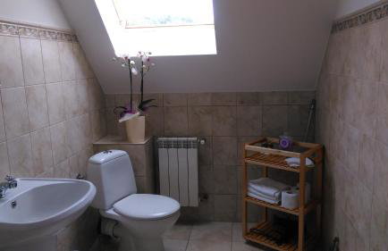 Agroturystyka Józefówka Tyrawa Solna - Foto 20